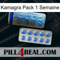 Kamagra 1 Week Pack 40